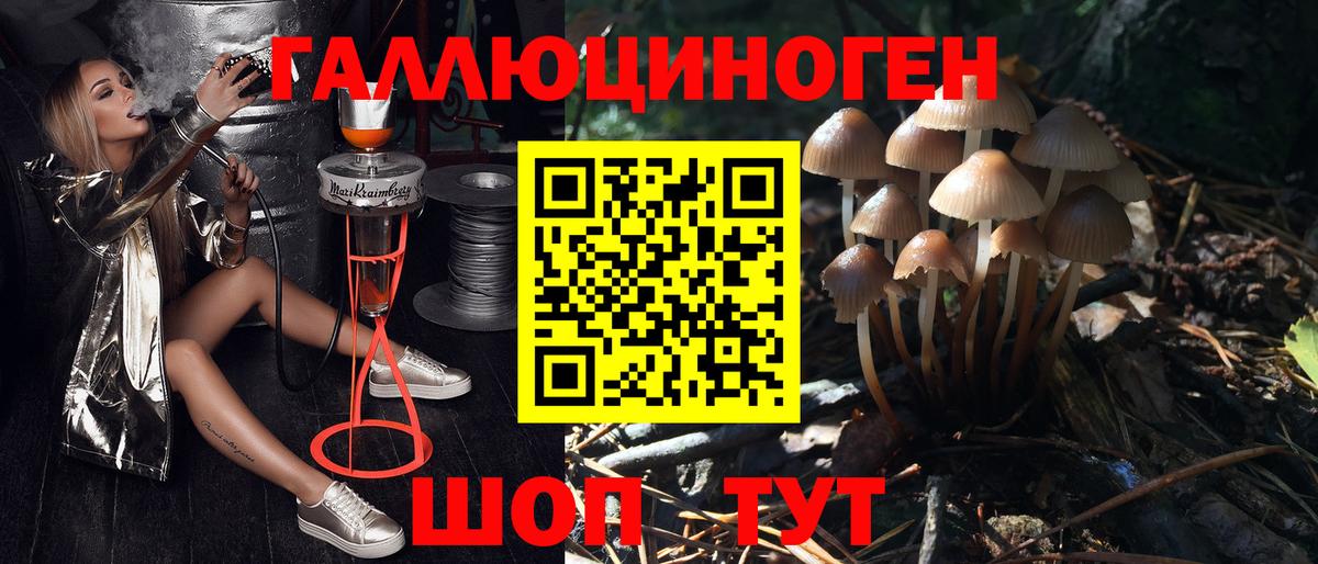 Галлюциногенные грибы Psilocybe Ростов-на-Дону